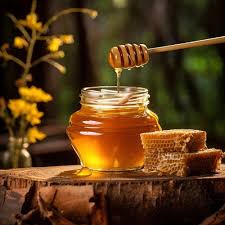 Wild Forest Honey