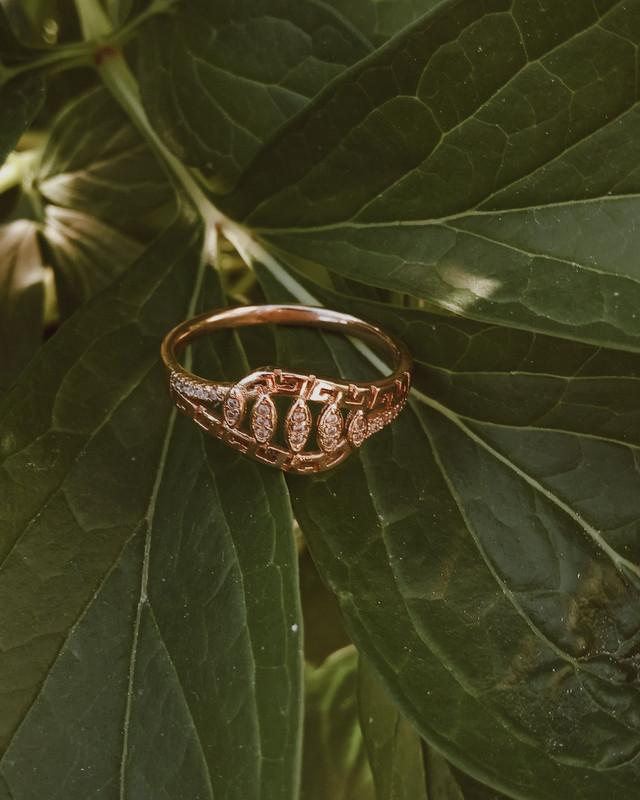 Rose Gold Geometric Leaf Ring